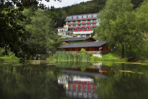 Waldhaus am See Willingen